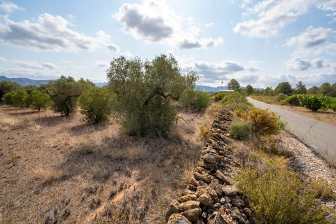 Finca i Ginestar, Tarragona, Ginestar - € 9.000 | Ref: 100 - foto 9