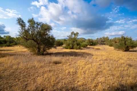 Finca i Ginestar, Tarragona, Ginestar - € 35.000 | Ref: 101 - foto 4