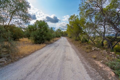 Finca i Ginestar, Tarragona, Ginestar - € 35.000 | Ref: 101 - foto 9