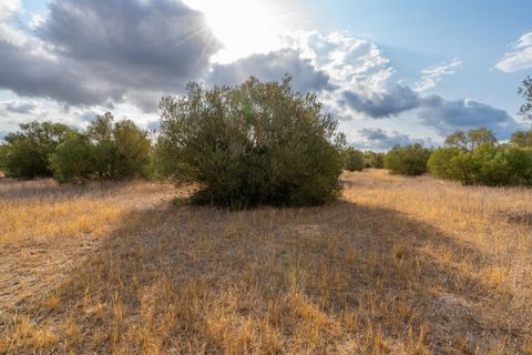 Finca i Ginestar, Tarragona, Ginestar - € 35.000 | Ref: 101 - foto 6