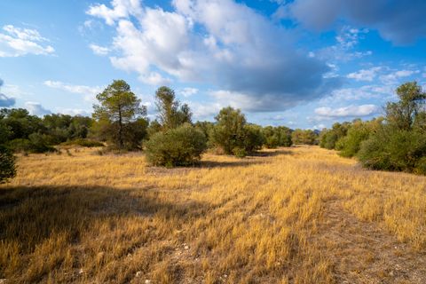 Finca i Ginestar, Tarragona, Ginestar - € 35.000 | Ref: 101 - foto 5