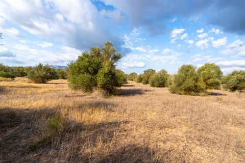 Finca i Ginestar, Tarragona, Ginestar - € 35.000 | Ref: 101 - foto 2