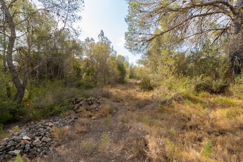 Finca i Ginestar, Tarragona, Ginestar - € 35.000 | Ref: 101 - foto 10