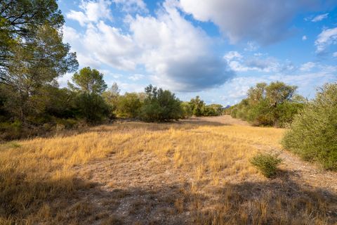 Finca i Ginestar, Tarragona, Ginestar - € 35.000 | Ref: 101 - foto 3