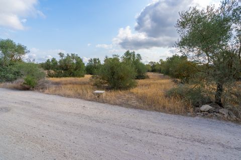 Finca i Ginestar, Tarragona, Ginestar - € 35.000 | Ref: 101 - foto 8