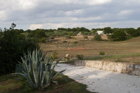 Landejendom i Ostuni, Brindisi, Ostuni - € 11.111.111 | Ref: 297 - foto 45
