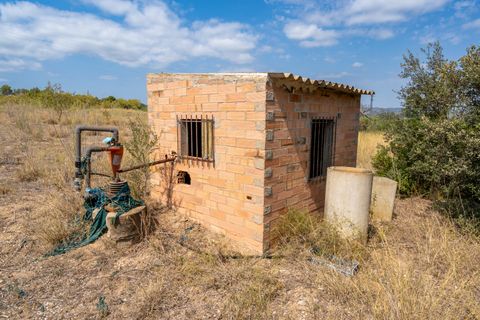 Finca i Ginestar, Tarragona, Ginestar - € 31.000 | Ref: 105 - foto 8