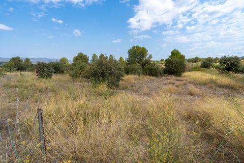 Finca i Ginestar, Tarragona, Ginestar - € 31.000 | Ref: 105 - foto 6