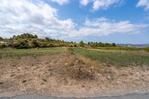 Finca i Ginestar, Tarragona, Ginestar - € 31.000 | Ref: 105 - foto 3