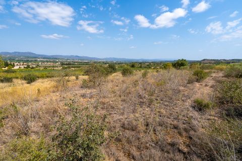 Finca i Ginestar, Tarragona, Ginestar - € 31.000 | Ref: 105 - foto 4
