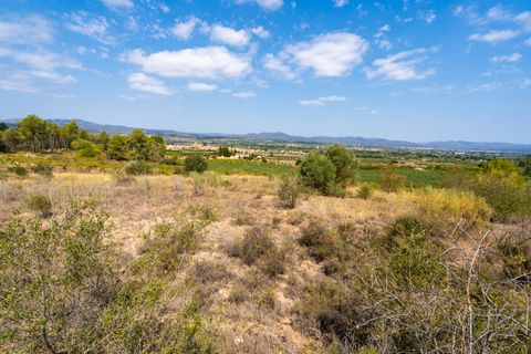 Finca i Ginestar, Tarragona, Ginestar - € 31.000 | Ref: 105 - foto 5