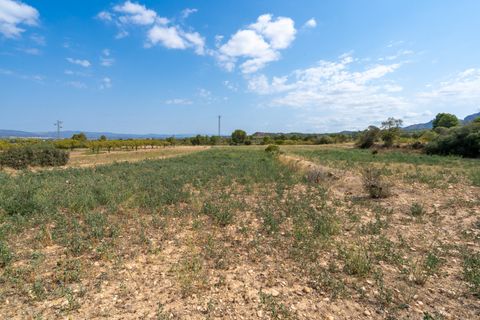 Finca i Ginestar, Tarragona, Ginestar - € 31.000 | Ref: 105 - foto 2