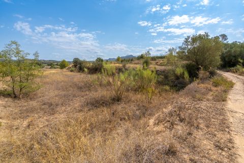 Finca i Ginestar, Tarragona, Ginestar - € 31.000 | Ref: 105 - foto 7
