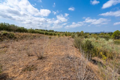 Finca i Ginestar, Tarragona, Ginestar - € 31.000 | Ref: 105 - foto 10