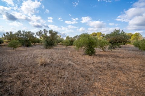 Finca i Ginestar, Tarragona, Ginestar - € 18.000 | Ref: 106 - foto 4
