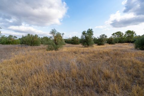 Finca i Ginestar, Tarragona, Ginestar - € 18.000 | Ref: 106 - foto 3