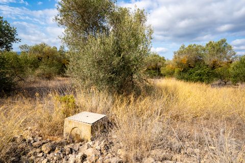 Finca i Ginestar, Tarragona, Ginestar - € 18.000 | Ref: 106 - foto 7