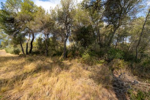 Finca i Ginestar, Tarragona, Ginestar - € 18.000 | Ref: 106 - foto 6