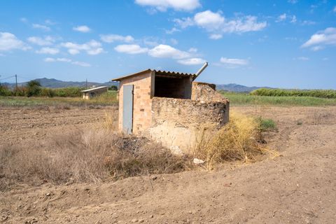 Finca i Ginestar, Tarragona, Ginestar - € 23.000 | Ref: 107 - foto 3