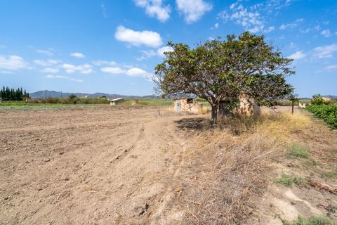 Finca i Ginestar, Tarragona, Ginestar - € 23.000 | Ref: 107 - foto 11