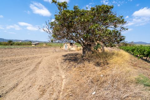 Finca i Ginestar, Tarragona, Ginestar - € 23.000 | Ref: 107 - foto 10
