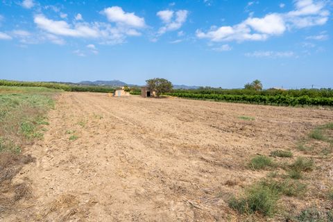 Finca i Ginestar, Tarragona, Ginestar - € 23.000 | Ref: 107 - foto 8