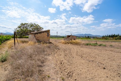 Finca i Ginestar, Tarragona, Ginestar - € 23.000 | Ref: 107 - foto 7