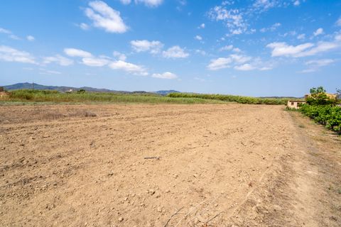 Finca i Ginestar, Tarragona, Ginestar - € 23.000 | Ref: 107 - foto 9