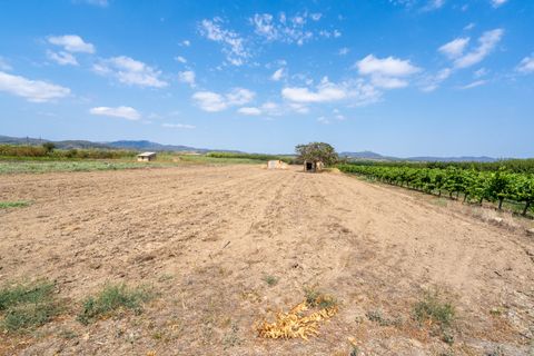 Finca i Ginestar, Tarragona, Ginestar - € 23.000 | Ref: 107 - foto 6