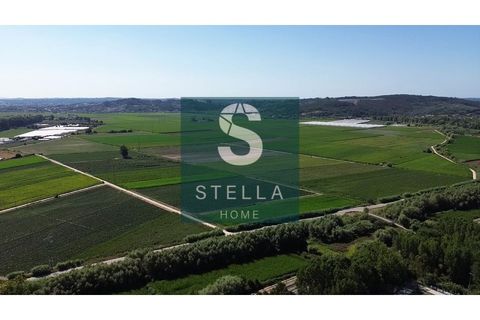 Villa i Coimbra, Coimbra, Coimbra - € 365.000 | Ref: SH0027-2024 - foto 24