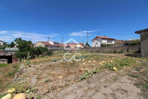 Villa a Chaves, Vila Real, Chaves - € 300.000 | Ref: 322/M/02193 - foto 34