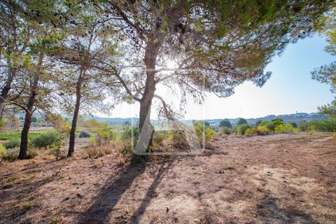 Helårsgrund i Benissa, Alicante, Benissa - € 175.000 | Ref: PBS0076 - foto 6