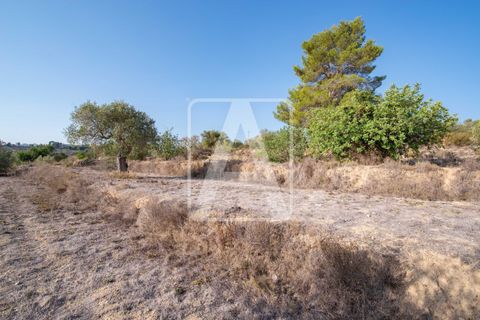 Helårsgrund i Benissa, Alicante, Benissa - € 175.000 | Ref: PBS0076 - foto 9