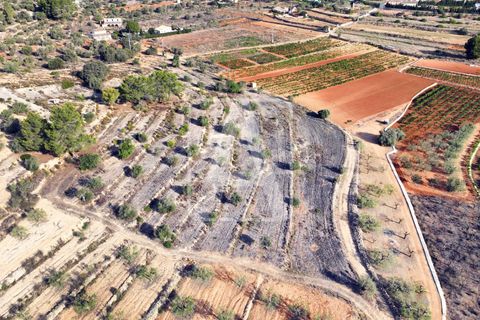 Helårsgrund i Benissa, Alicante, Benissa - € 175.000 | Ref: PBS0076 - foto 10