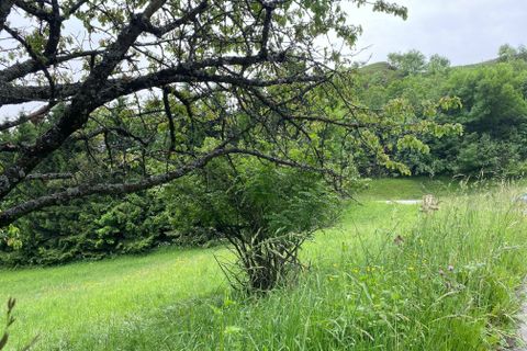 Terra a Jarrier, Savoie, Jarrier - € 99.000 | Ref: V519 - foto 4