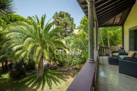 Villa i Santa Brigida, Gran Canaria, Santa Brigida - € 980.000 | Ref: 131069 - foto 26