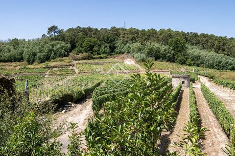 Landejendom i Beade, Coruna, Beade - € 295.000 | Ref: VIG51144 - foto 23