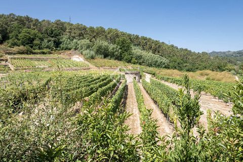 Landejendom i Beade, Coruna, Beade - € 295.000 | Ref: VIG51144 - foto 24