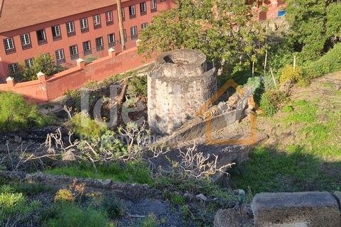 Villa a Garachico, Tenerife, Garachico - € 1.600.000 | Ref: 826-V8-N - foto 41