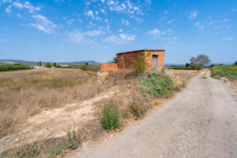 Finca i Ginestar, Tarragona, Ginestar - € 16.500 | Ref: 109 - foto 3