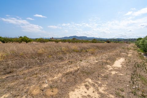 Finca i Ginestar, Tarragona, Ginestar - € 16.500 | Ref: 109 - foto 5