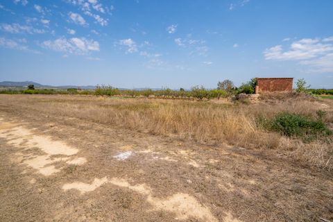 Finca i Ginestar, Tarragona, Ginestar - € 16.500 | Ref: 109 - foto 4