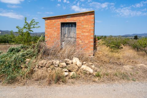 Finca i Ginestar, Tarragona, Ginestar - € 16.500 | Ref: 109 - foto 2