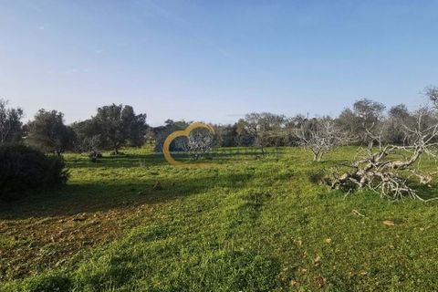 Helårsgrund i Albufeira, Faro, Albufeira - € 40.000 | Ref: HC103 - foto 2