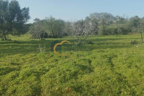 Helårsgrund i Albufeira, Faro, Albufeira - € 40.000 | Ref: HC103 - foto 3