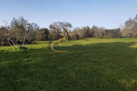Helårsgrund i Albufeira, Faro, Albufeira - € 40.000 | Ref: HC103 - foto 4