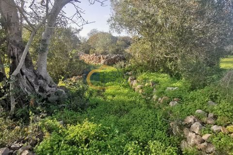 Helårsgrund i Albufeira, Faro, Albufeira - € 40.000 | Ref: HC103 - foto 5