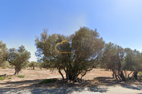 Helårsgrund i Albufeira, Faro, Albufeira - € 2.800.000 | Ref: HC113 - foto 7