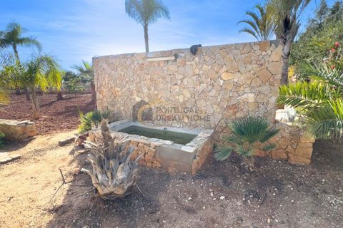Villa a Alcantarilha, Faro, Alcantarilha - € 959.000 | Ref: AF118 - foto 30