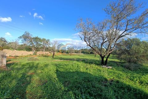 Villa i Tavira, Faro, Tavira - € 550.000 | Ref: HC115 - foto 4